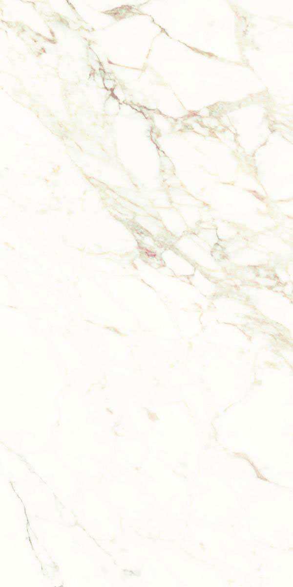 CARPECIA WINE F4